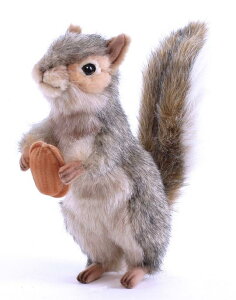 HANSAKi@DFX 4841 yzil`AuAIuWFAʂ݁ALN^[ObYj