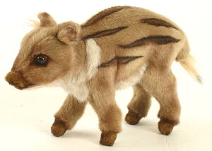 HANSAKi@ԂCmVV 4853 yzil`AuAIuWFAʂ݁ALN^[ObYj