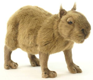 HANSAKi@Jso 5125yzil`AuAIuWFAʂ݁ALN^[ObYj