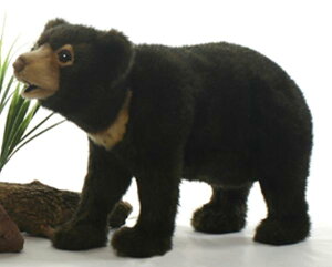 HANSAKi@}[O} 5234yziN}A܁AFAxAAl`AuAIuWFAʂ݁ALN^[ObYj