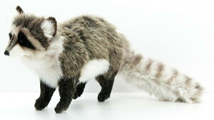 HANSAKi@ACO} 5238yzil`AuAIuWFAʂ݁ALN^[ObYj