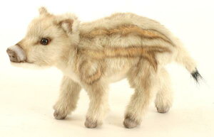 HANSAKi@ԂCmVV 5341yzil`AuAIuWFAʂ݁ALN^[ObYj