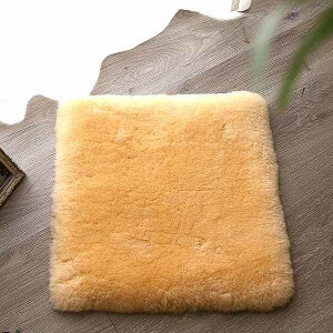 ���[�g���@���Y�}�e���A���N�b�V�����@45×45cm�@�V�R�r�с@�ۉ��@�e�͐� �y���������z�i�˂��A�L�A�l�R�A���z�c�A�N�b�V�����A�C���e���A�G�݁j
