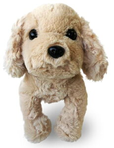 v~Aps[@RbJ[XpjG i53003jyziAʁACkAl`AߋAAʂ݁ALN^[ObYAv[gɍœKj