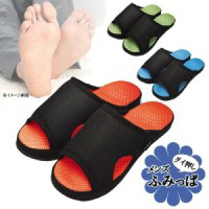 At@bNX@N[T_ YOCӂ݂ρ@O[yz(NT_AXbpA[V[YAtbgPAA}bT[WA)(yVLO܁E