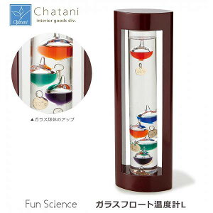 JY Fun Science t@TCGX KXt[gxvL 333-202 yz(CeAG݁Axv)super-chata-3454008