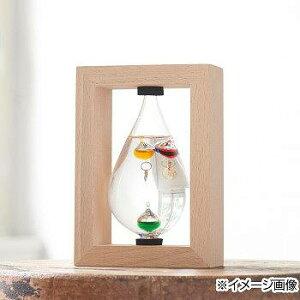 JY Fun Science KXt[gxv (t[t) 333-213 yz(CeAG݁Axv)