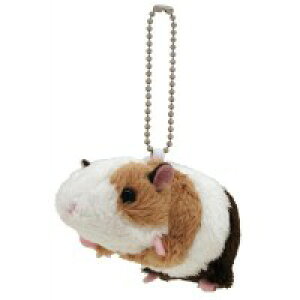 ĝʂݐKi肭̂Ȃ܂@eWNlY~@}XRbg@180183 i˂݁Al`AߋAAʂ݁ALN^[ObYAv[gɍœKAobO`[