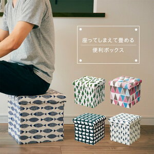 Ă܂ď߂֗{bNXi01-EF-SR17j yziCXAXc[AA[{bNXAP[Xj