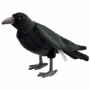 HANSAKi@JX 6266 yzil`AuAIuWFAʂ݁ALN^[ObYj