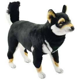 HANSA正規品 　黒柴50 SHIBA　DOG　BLACK　7242【送料無料】（いぬ、柴犬、イヌ、人形、置物、オブジェ、ぬいぐるみ、キャラクターグッズ）