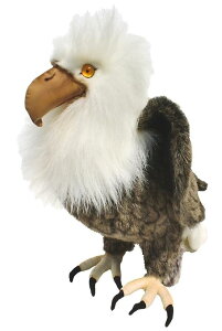 HANSAKi@nNgEV 2791yzil`AuAIuWFAʂ݁ALN^[ObYj