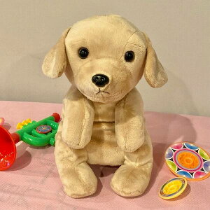 yeCNItzgo[@nhpybg@ʂ݁@t@[yziCkAʁAAl`AߋAAʂ݁ALN^[ObYAv[gɍœKj