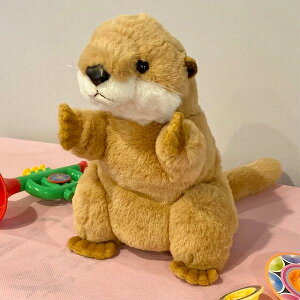 yeCNItzJE\@uE@nhpybg@ʂ݁@t@[yzi܁AN}Al`AߋAAʂ݁ALN^[ObYAv[gɍœKj