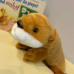 yeCNItzyP[X@\tB[_[h@JE\@uE@ʂ݁yzi키AJE\Aʂ݁A|[`AXe[Vi[E[AyP[X