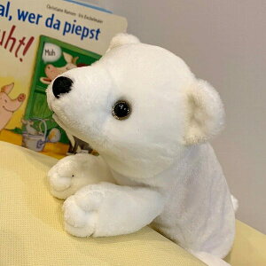 yeCNItzyP[X@\tB[_[h@kɌF@ʂ݁yziN}Aʂ݁A|[`AXe[Vi[E[AyP[XAMALN^[ObY