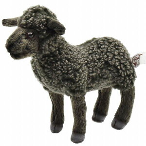 HANSAKi@qqcW 17@ 4561yziЂAqcWArAl`AuAIuWFAʂ݁ALN^[ObYj