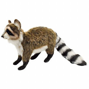 HANSAKi@ACO} 5181yzil`AuAIuWFAʂ݁ALN^[ObYj