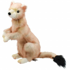 HANSAKi@C^` 5729yzil`AuAIuWFAʂ݁ALN^[ObYj