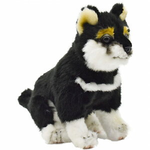 HANSAKi @(e) 22 SHIBA INU@7249yziʁAČACkAl`AuAIuWFAʂ݁ALN^[ObYj