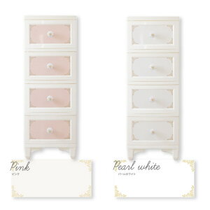 4i fRR hX`FW`FXg ߗގ[ Lr KN Pn ^XiDPC-04j yzi[ƋA`FXgAm^XALrlbgAߗގ[{bNXj