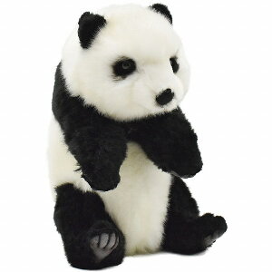 HANSAKi@p_ 5808 yzip_Aς񂾁Al`AuAIuWFAʂ݁ALN^[ObYj iyVLO܁Eʂ p_5ʁA2018/2/11WvA2/12XV