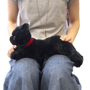 Ђ˂@BK @STCYiP-1972-1jyzi˂AlRALAʂ݁Al`AߋAALN^[ObYAv[gɍœKj