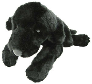ĝʂݐKiDOG LOVERS@(hbO@[Y)@uh[go[@M@180416yziAʁACkAl`AߋAAʂ݁jiyVLO