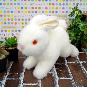 yX^[`Ch@Kiz@ʂ݁@LETMyziETMAAeAl`AAʂ݁ALN^[ObYj