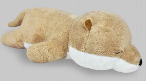 yPLUSmmzyA~[YKiz₷˂ނكEgBIGJE\@60cm @703567yz(l`AߋAAʂ݁ALN^[ObY)