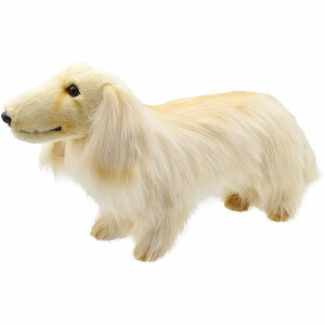 HANSAKi@~j`A_bNXth OwA CG[ 62 MINIATURE DACHSHUNDyziCkAʁAAhbOAl`AuAIuWFAʂ݁ALN^[ObYj