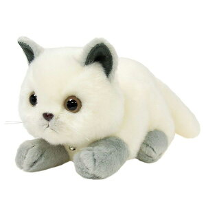 ĝʂݐKiRlR O[ 180845@yzilRA˂ALALbgAl`AߋAAʂ݁ALN^[ObYAv[gɍœKj