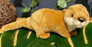 JE\@uE@^@M@ʂ݁yzil`AߋA}XRbgAʂ݁A키AJE\Av[gɍœKj