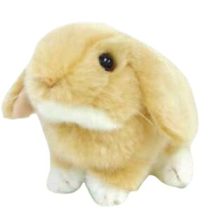 ĝʂݐKiʂ݁@bvC[@IW@180127yziAETMAeAl`Aʂ݁ALN^[ObYj