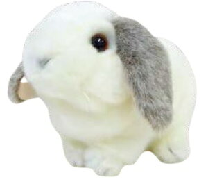 ĝʂݐKiʂ݁@bvC[@tXeB@180129yziAETMAeAl`Aʂ݁ALN^[ObYj