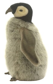 楽天市場 皇帝ペンギン 赤ちゃん ぬいぐるみの通販 楽天市場 皇帝ペンギン 赤ちゃん ぬいぐるみの通販