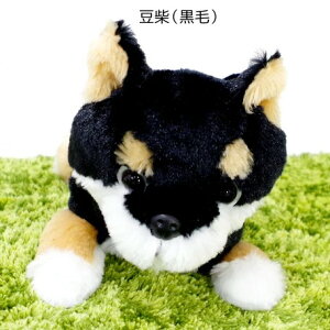 q˂ƓĂ^b`Aʂ݃[pX@āiсji71364jyz iʁAACkAʂ݁Al`AߋA[pXP[XApXP[XAA