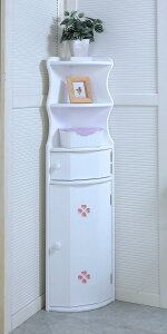 i1TԑOoׁjN[o[gCbN @R[i[^Cv TAN-120 zCg/uE yzigCA[AbNAԎ[j