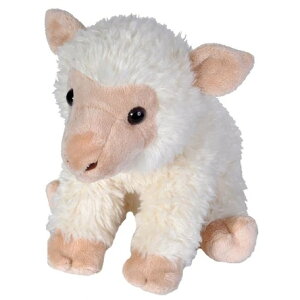 yPLUSmmzyChpubNz ʂ @qcW 12"iwr17000jyziЂAqcWAl`AߋAAʂ݁ALN^[ObYAv[gɍœKj