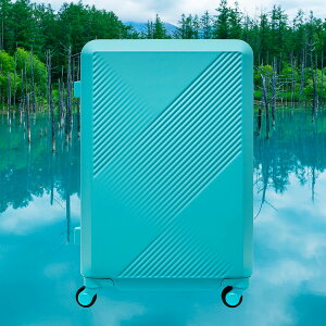 yԌ5,000~OFFN[|zX[cP[X ACE LUGGAGE ^TCY L[P[X G[XQ[W yezoLABO G]{ kCJ[pbgX[cP[X yKi5Nۏ؁zTSAbN L[o