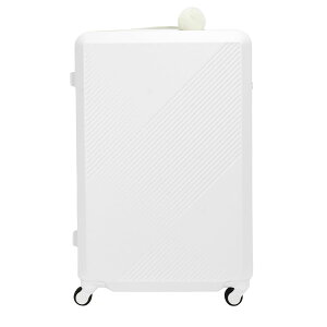X[cP[X ACE LUGGAGE ^TCY L[P[X G[XQ[W yezoLABO G]{ kCJ[pbgX[cP[X yKi5Nۏ؁zTSAbN L[obN _C y 