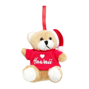 nC An xA I[ig NX}X CeA N}  KahikonCAG CeA  v[g 킢