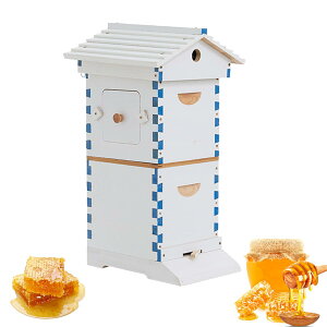 W~co` ^ IȊ bNXϗ{I ~co` Ɨ{ILbg I  {Ip ~co`̑ I hH ̖t