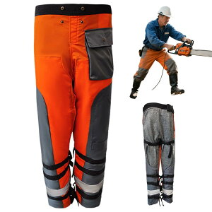 یY{ `F[\[ hpc bvϋv`F[\[یGv߉\ȃxgƒ ƕ Y fB[X ʋC _f ؍H  ы DIY SیM/LTCYΉ