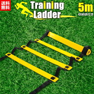 【MAX20%OFF！当店買い回りクーポン配布中】 トレーニングラダー ラダートレーニング ラダー トレーニン…