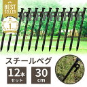 【楽天1位】ペグ 30cm セット テント テント用 12本 スチール テント テント用品 タープ アウトドア キャンプ ピクニック ソロキャンプ キャンプ設営用品 スチールペグ 12本セット 頑丈