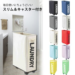 y50%OFFN[|zz11420~z h[oXPbg ܂肽 X LX^[ z 󂩂  20cm ܂ S e  E  h[{bNX h