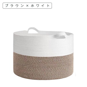 y50%OFFN[|zz112020~z[voXPbg  [JS  e 󂩂 ʂ [ G  [ Vv DoXPbg h[oXPbg ߋ D