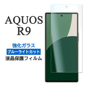 AQUOS R9 tB SH-51E A401SH tی u[CgJbg 9H KX Jo[ ANIXr9 ʕی V[v ANIX A[iC X}ztB P2