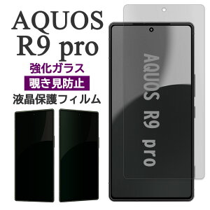 AQUOS R9 pro tB SH-54E SH-M30 tی `h~ 9H KX V[g V[ Jo[ V[v ANIX A[iCv X}ztB